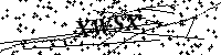 Bitte geben Sie die Buchstaben und Zahlen unten ein
