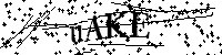 Bitte geben Sie die Buchstaben und Zahlen unten ein