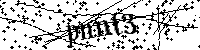 Bitte geben Sie die Buchstaben und Zahlen unten ein