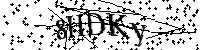 Bitte geben Sie die Buchstaben und Zahlen unten ein