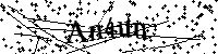 Bitte geben Sie die Buchstaben und Zahlen unten ein