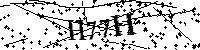 Bitte geben Sie die Buchstaben und Zahlen unten ein