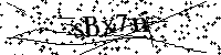 Bitte geben Sie die Buchstaben und Zahlen unten ein