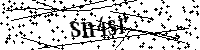Bitte geben Sie die Buchstaben und Zahlen unten ein