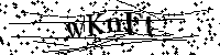 Bitte geben Sie die Buchstaben und Zahlen unten ein