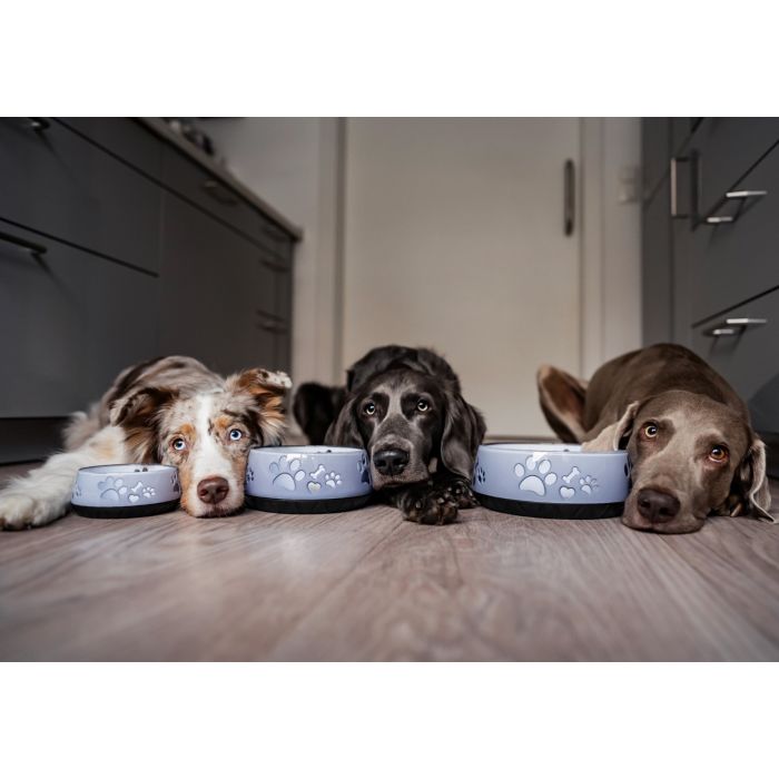 Hundematte Für Futter & Wasser – 2 Stück, Knochenform, Rutschfest, 45x30 Cm