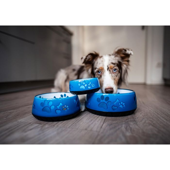 Hundenapf elropet Hellblau fr kleine, mittlere & groe Hunde mit  rutschfester Unterseite