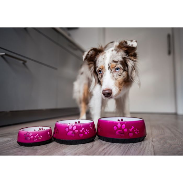 Hundenapf elropet Pink fr kleine, mittlere & groe Hunde mit rutschfester  Unterseite
