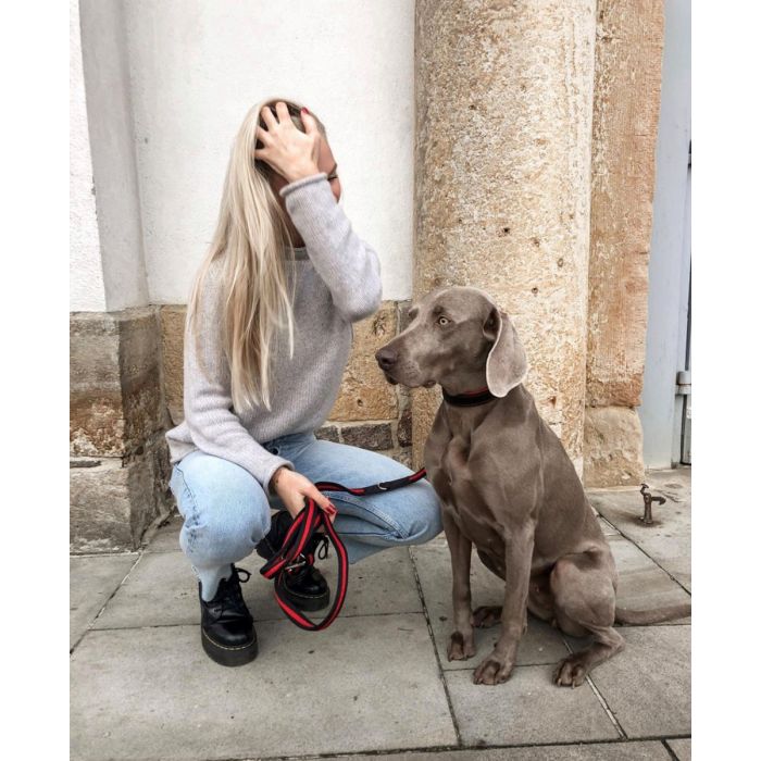halsband und leine set Hundehalsband und Leine Set