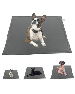 elropet® Hundedecke Softshell für kleine, mittlere & große Hunde Grau
