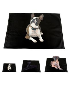 elropet® Hundedecke Softshell für kleine, mittlere & große Hunde Schwarz